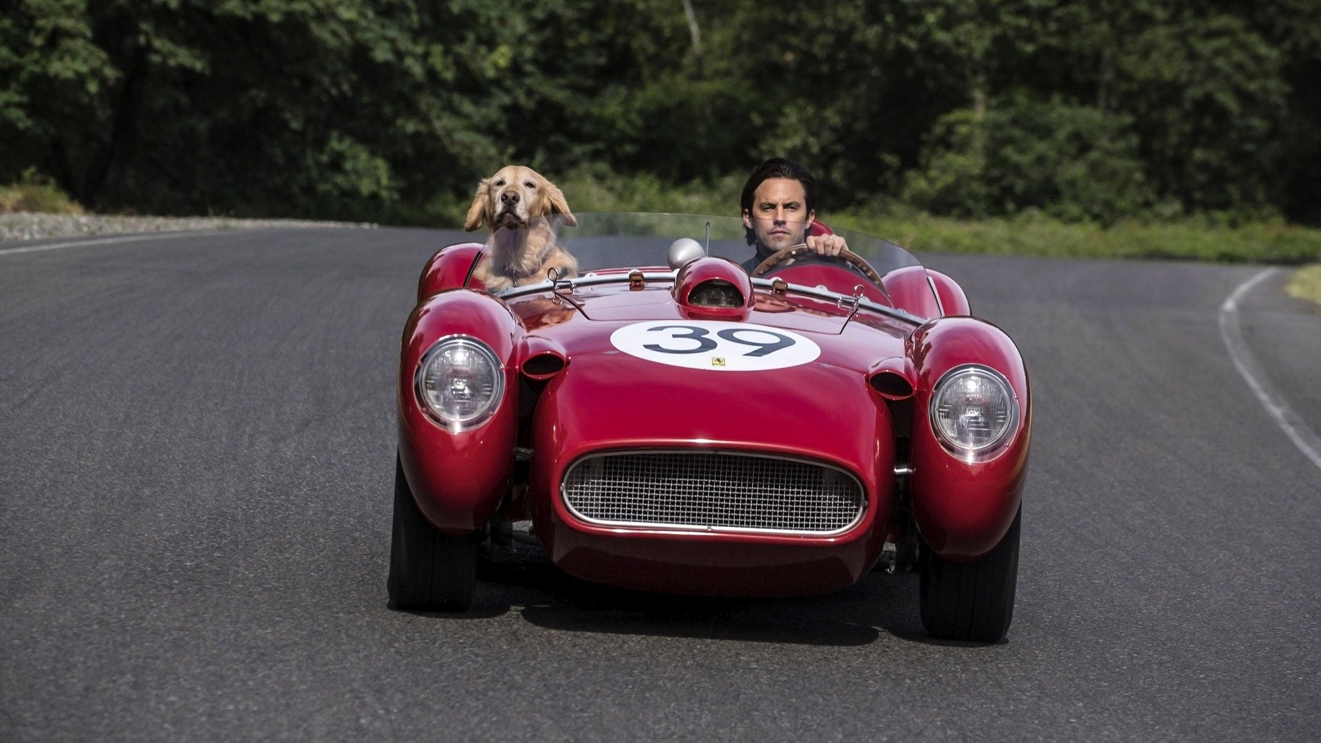 L&rsquo;art de courir sous la pluie